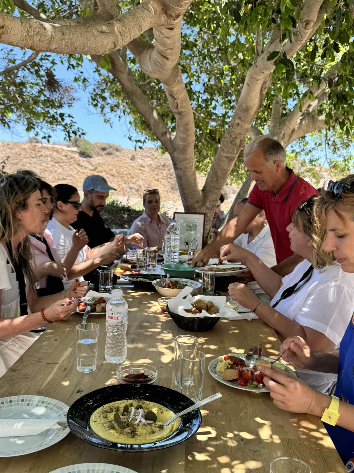 Earth to Table: The Cooking Experience