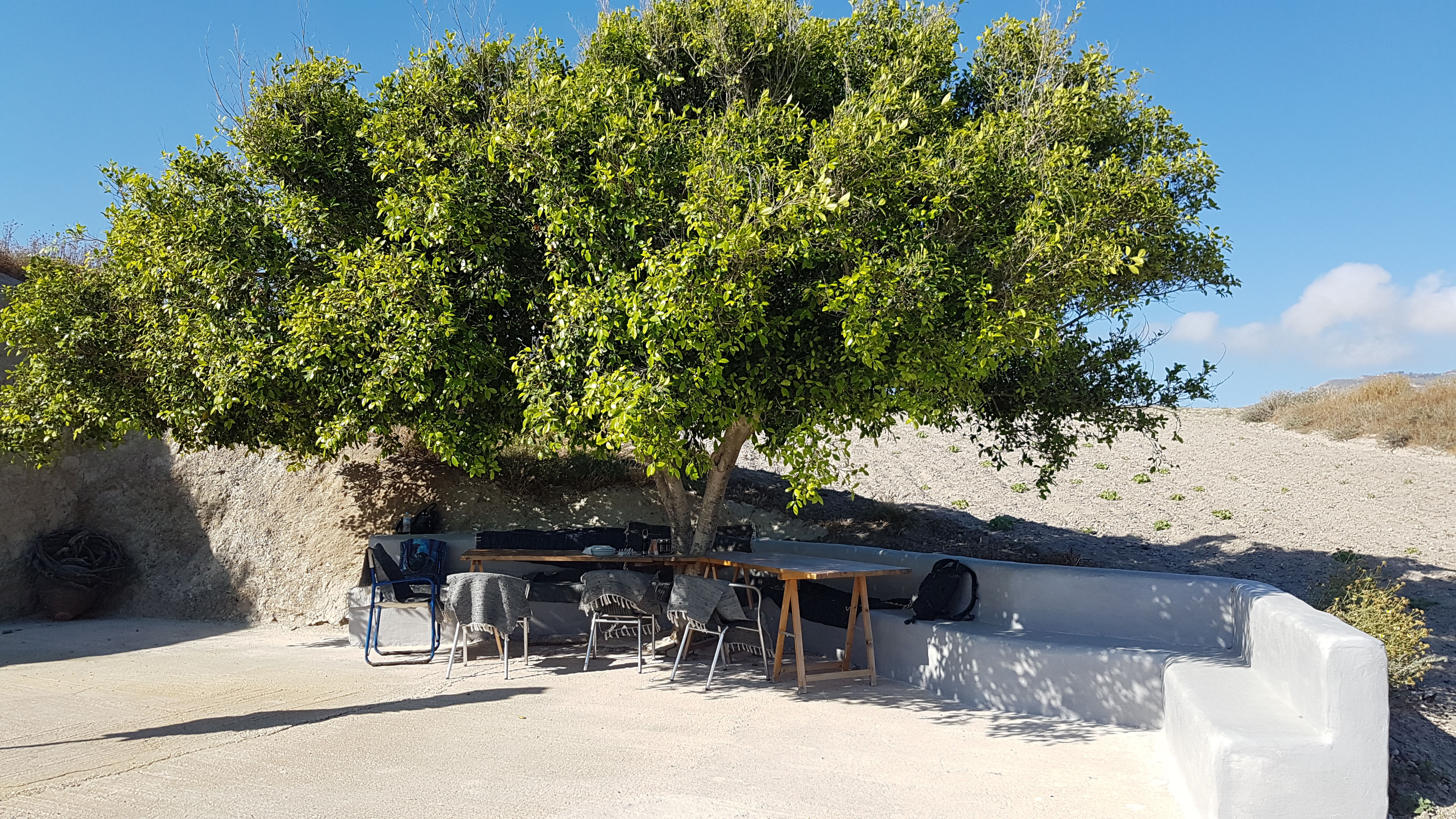 Earth to Table: The Cooking Experience